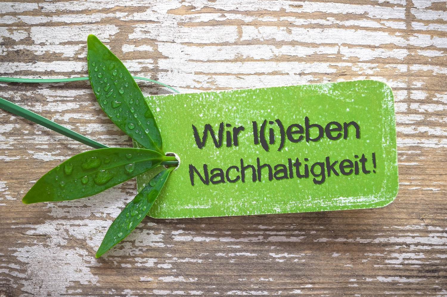 Spezialisierte Dienstleistungen für Wohngebäude